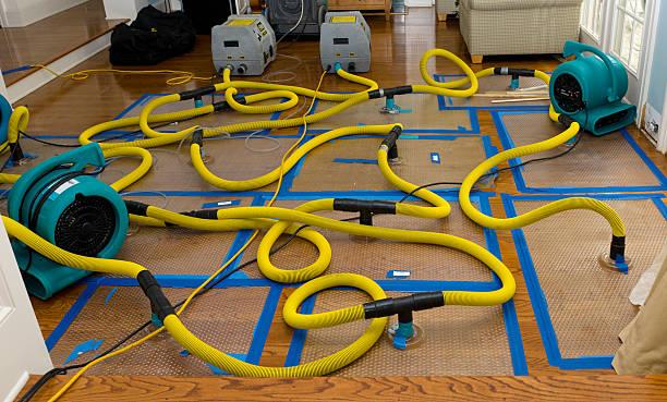 Professional Basement Flood Cleanup technician working in Hartford, KY